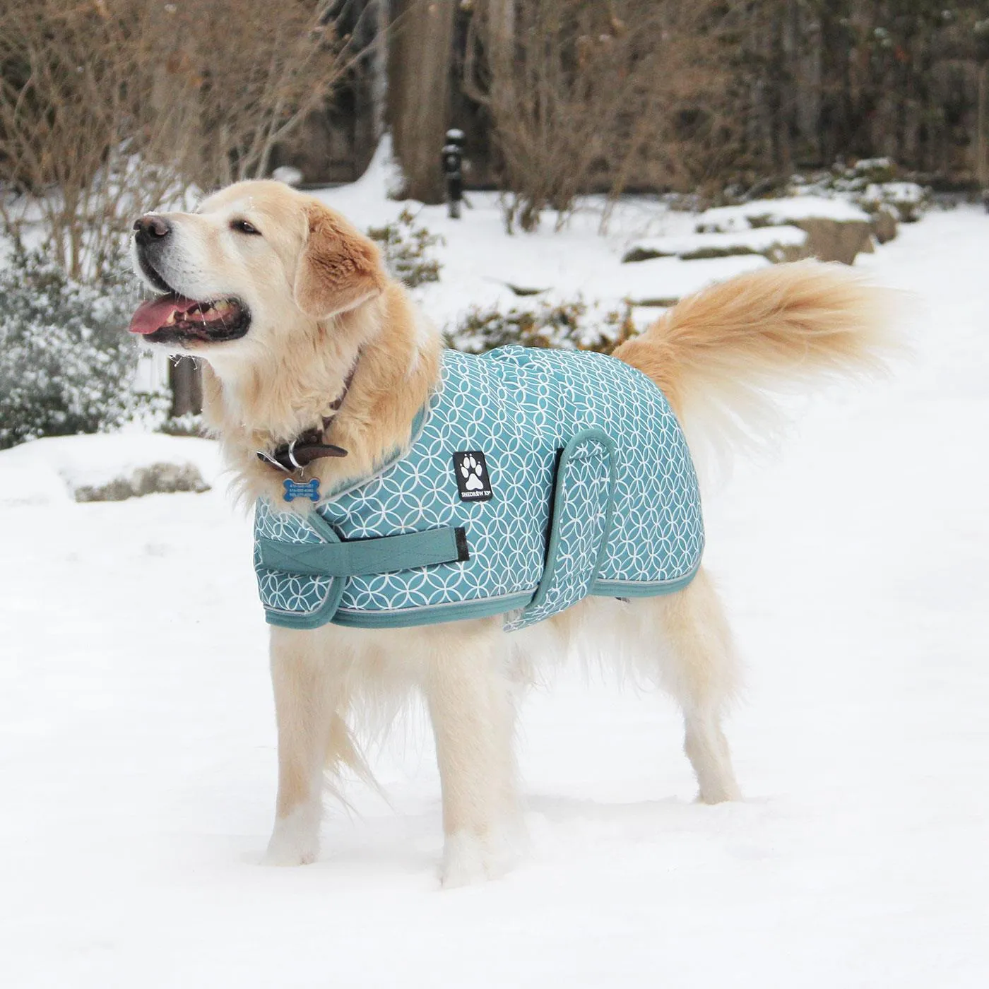 Glacier Dog Coat