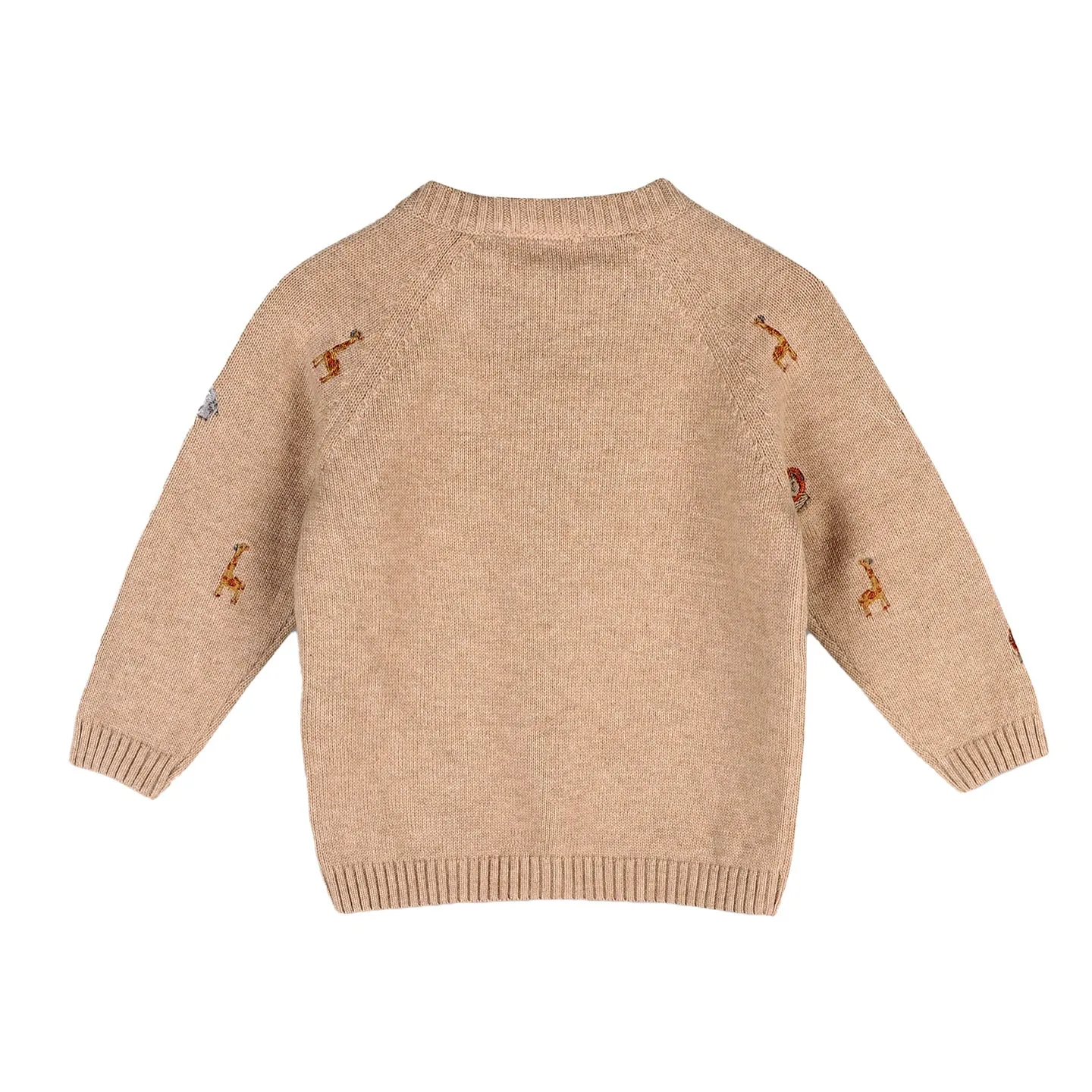 Safari Animal Embroidered Raglan Sweater